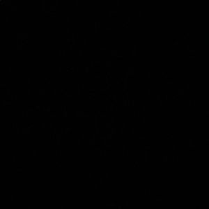 Meet your Posher, Dylan